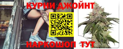 крисы Беслан