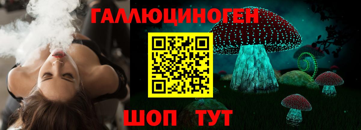 Ишим  Псилоцибиновые грибы Cubensis  Вход с VPN 